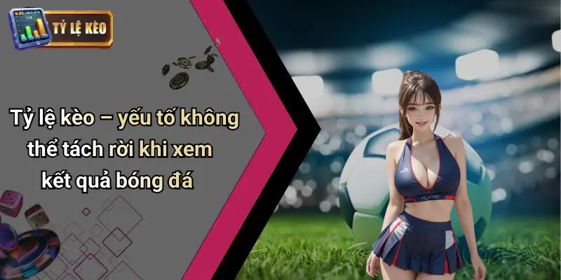 Tỷ lệ kèo – yếu tố không thể tách rời khi xem kết quả bóng đá